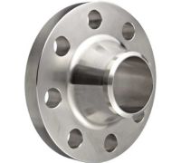 Stainless Steel Weld Neck (WN) Flange